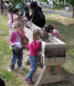 Gold panning