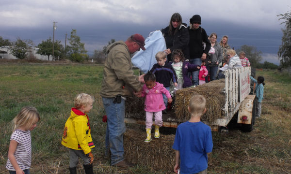 Hayride