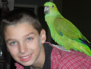 parrot with child