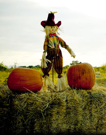 scarecrow